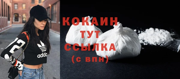 Альфа ПВП Лагань