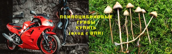 Альфа ПВП Лагань