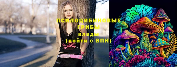 PSILOCYBIN Лихославль