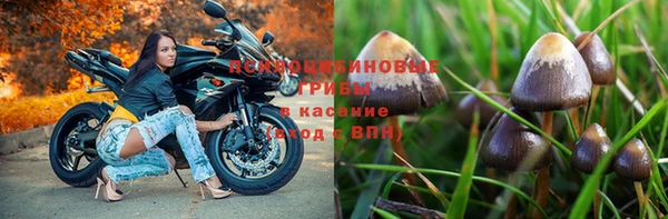 кокаин премиум Ладушкин