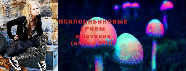 Альфа ПВП Лагань