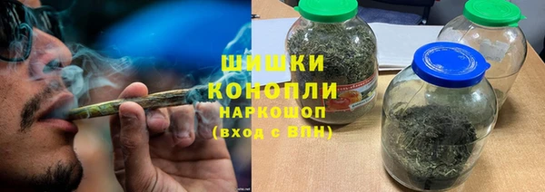 сатива Кулебаки