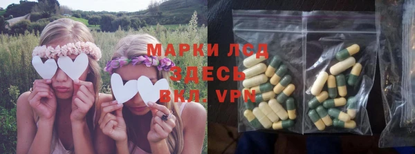 PSILOCYBIN Лихославль
