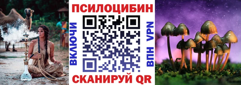 где продают наркотики  Медвежьегорск  Галлюциногенные грибы GOLDEN TEACHER 